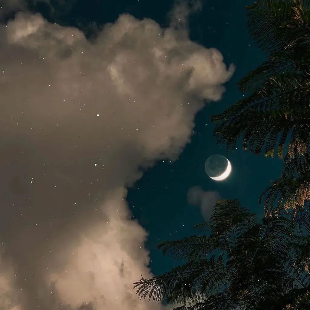 星月相伴的唯美句子（带有星月的浪漫词）