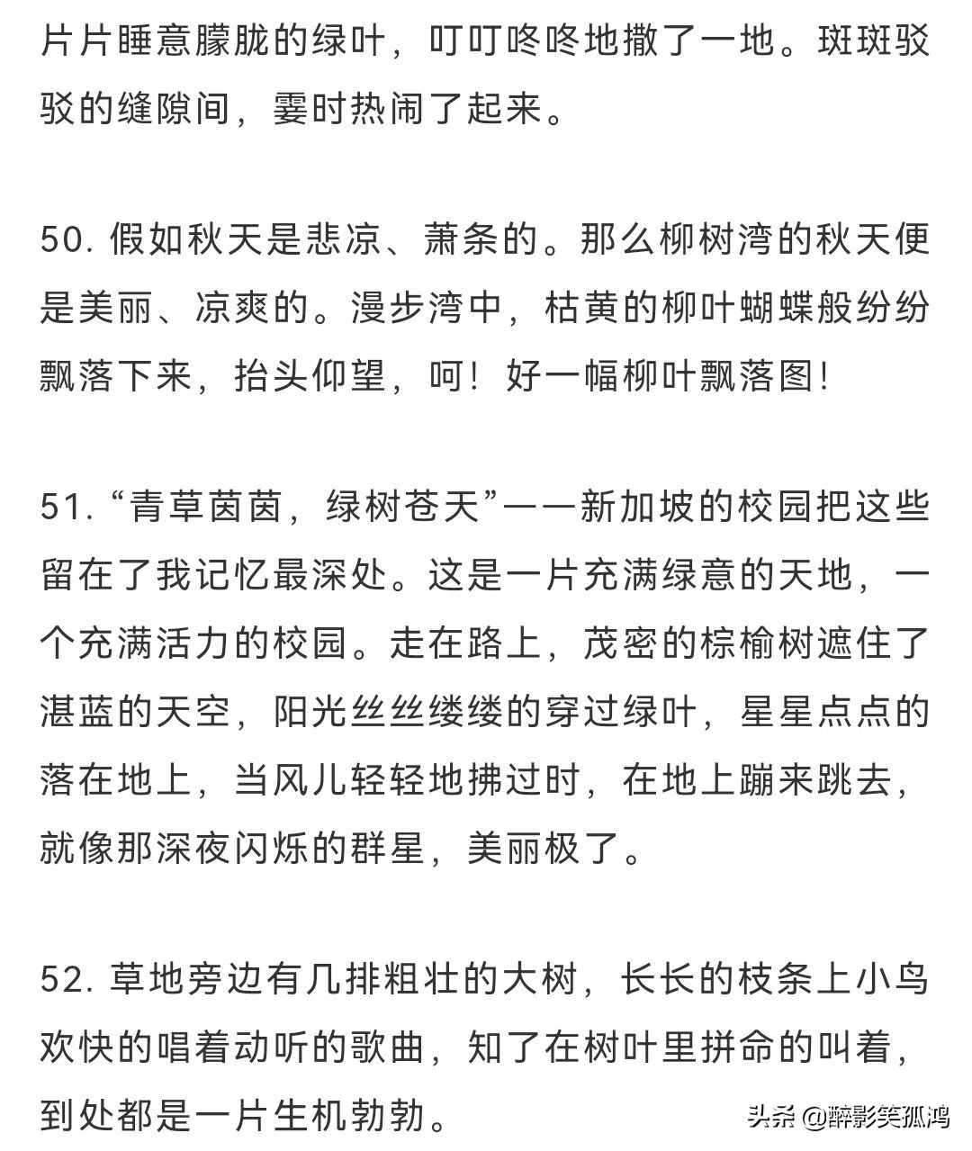 写景的好句（优美的写景句子摘抄）