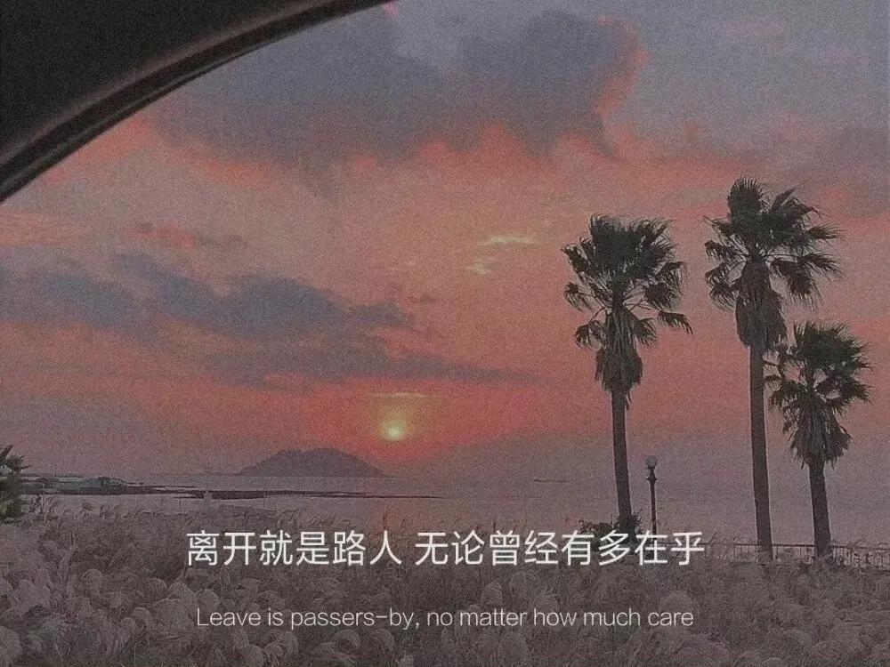 美文节选小段赏析（经典散文片段节选）