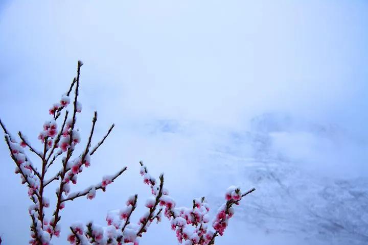 春雪古诗有哪些（春雪的唯美诗句鉴赏）