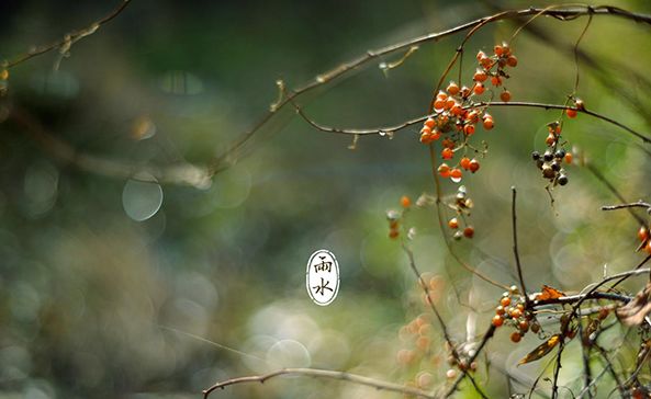 有关于雨水节气的诗句（雨水节气的古诗俗语和谚语）