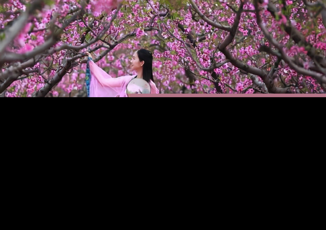 鹧鸪天晏几道古诗（鹧鸪天原文翻译及赏析）