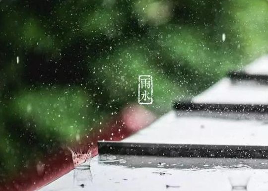 有关于雨水节气的诗句（雨水节气的古诗俗语和谚语）