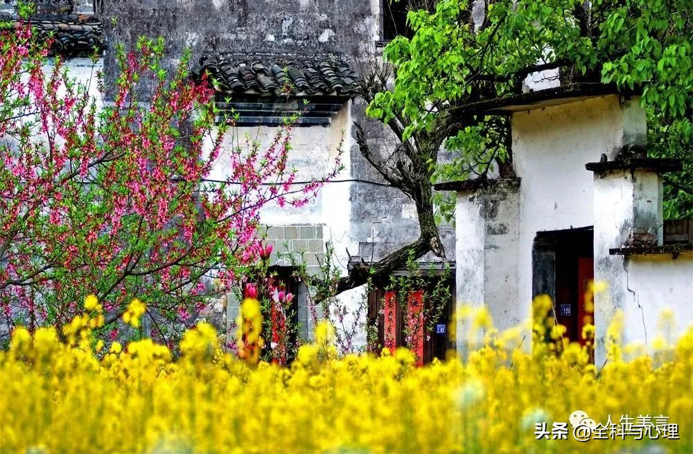 花的句子唯美心情短语（形容春暖花开的优美句子）