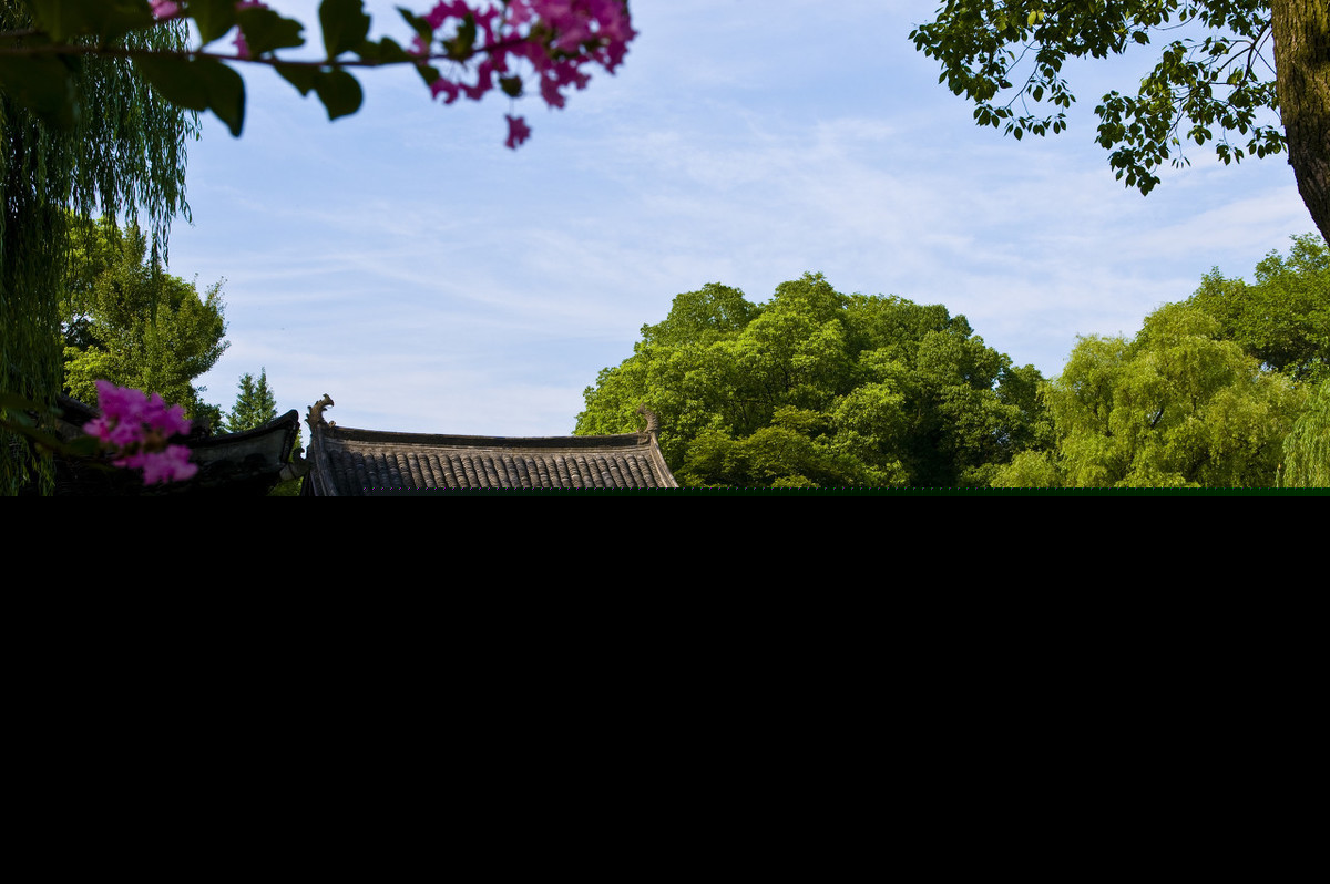 关山月陆游赏析（关山月陆游原文及翻译）