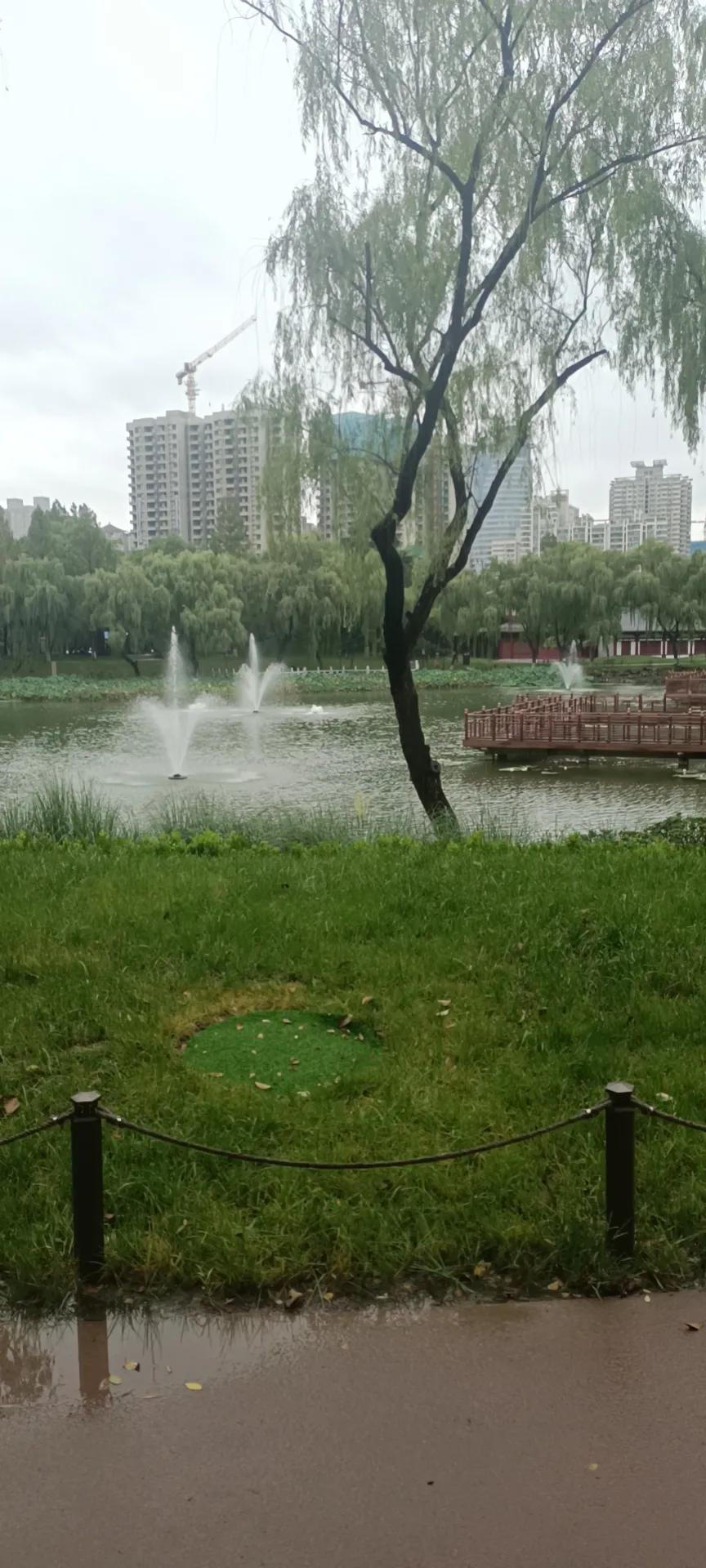 少有人走的路读后感（少有人走的路读书感悟）