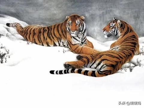 关于老虎的诗句有哪些（带虎字的寓意好的诗句）