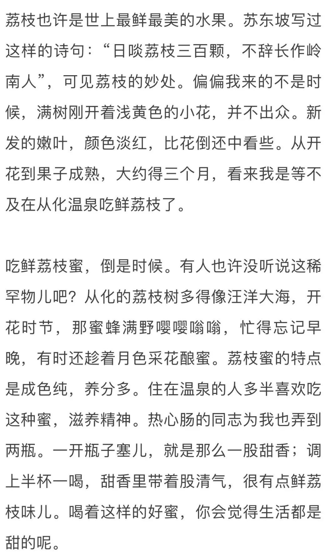杨朔荔枝蜜原文（荔枝蜜主要内容概括）