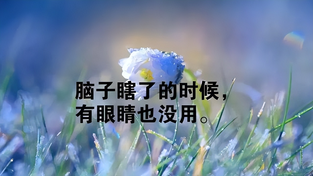 看淡一切释然的说说（人生感悟致自己精辟）