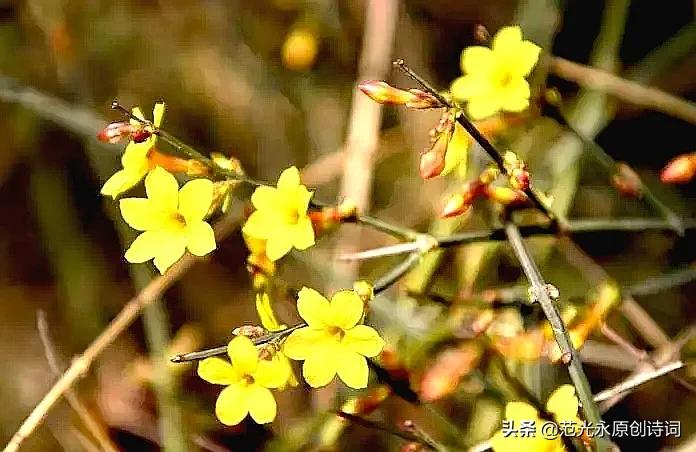虎年诗句古诗大全（带虎字的寓意好的诗句）