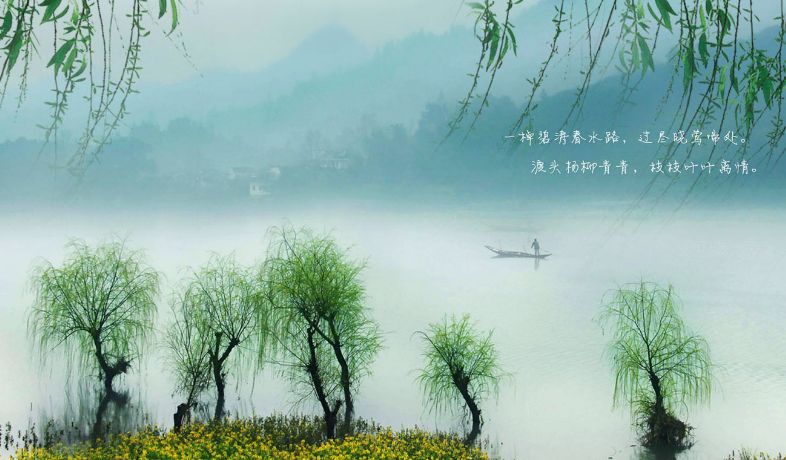 春风诗词大全摘抄（关于春风的诗句大全）