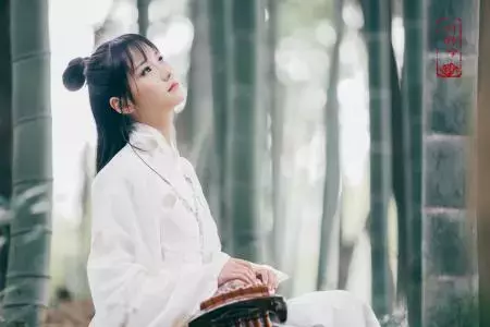 柳永诗词最佳十首（柳永最美诗词赏析）