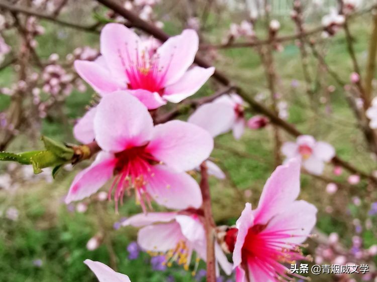 携手同行的唯美诗句（相伴成长的唯美句子）
