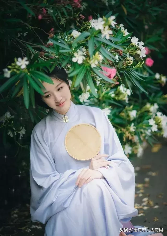 辛弃疾青玉案翻译（辛弃疾青玉案原文及赏析）