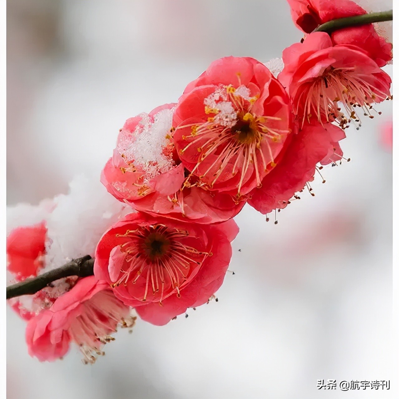 经典诗词朗诵（经典古诗词主题朗诵稿）