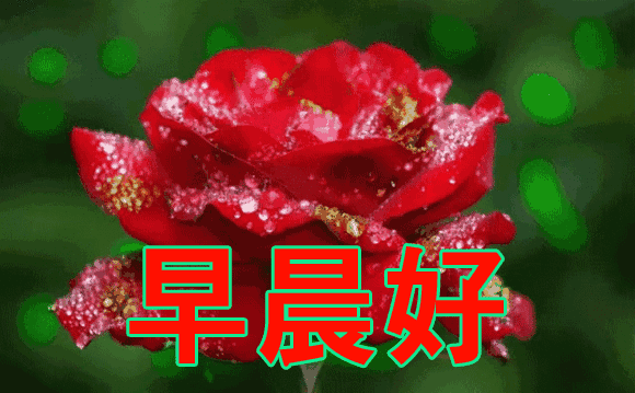 适合所有人的祝福语（最打动人心的祝福语）