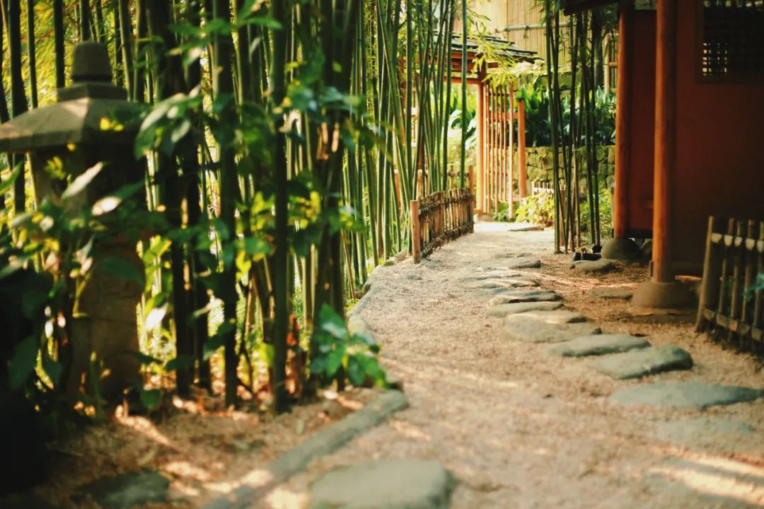 古风诗词唯美短句（古风励志哲理唯美句子）