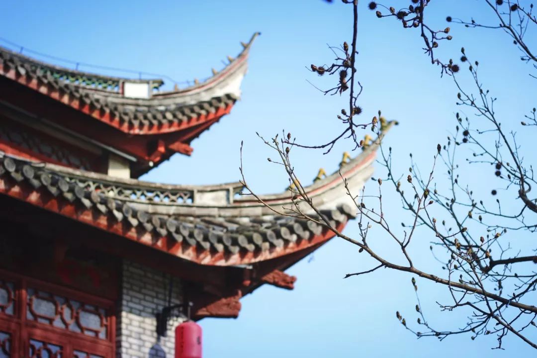 千古名句诗句有哪些（古诗千古名句摘抄）