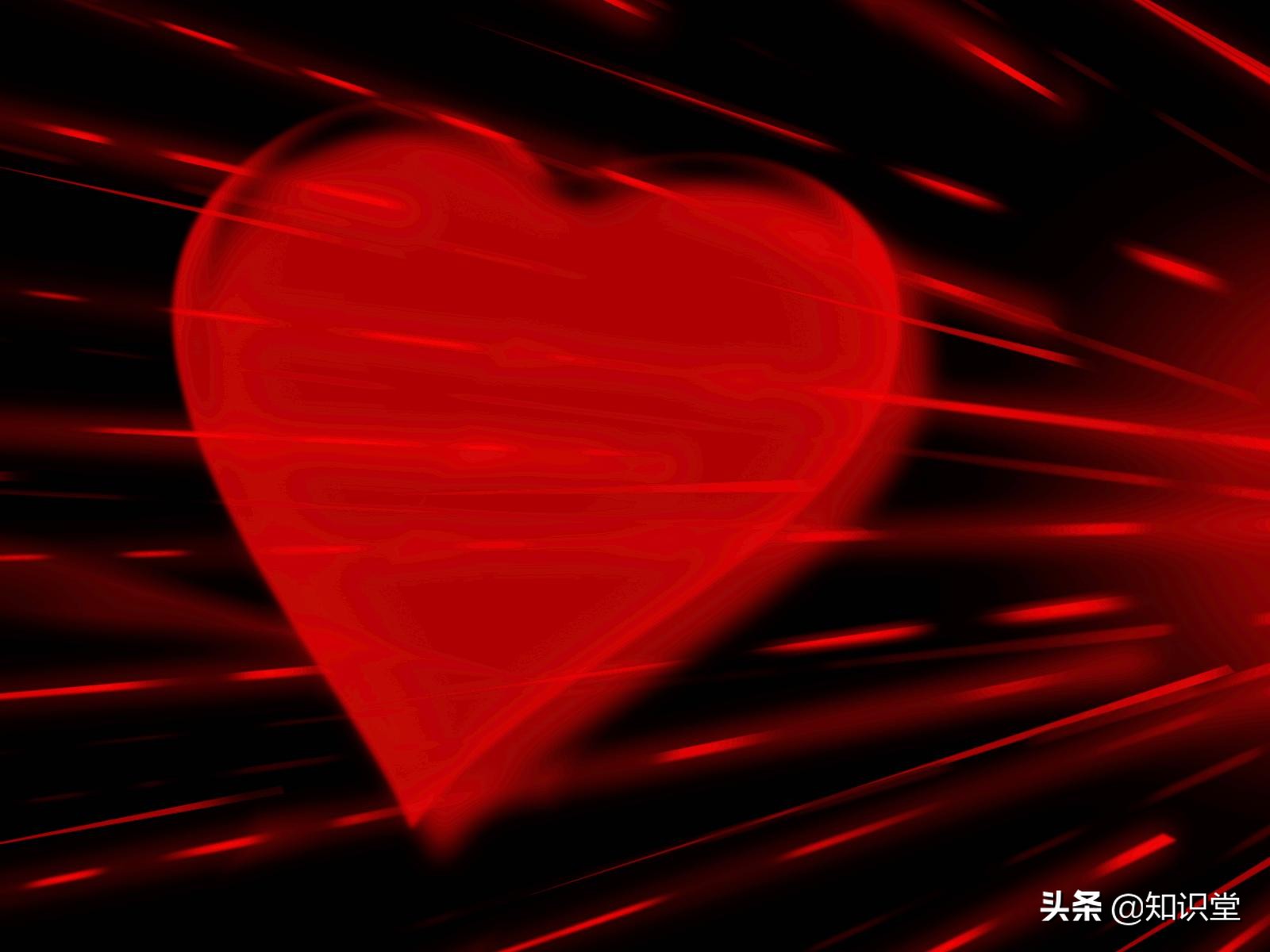 情人节快乐祝福语（情人节最暖心短句欣赏）