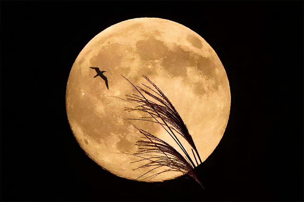 现代诗歌欣赏（很小众却很惊艳的现代诗）