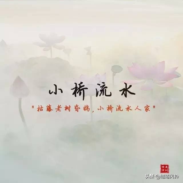 夸女孩子的四字词语（夸女生漂亮唯美成语）