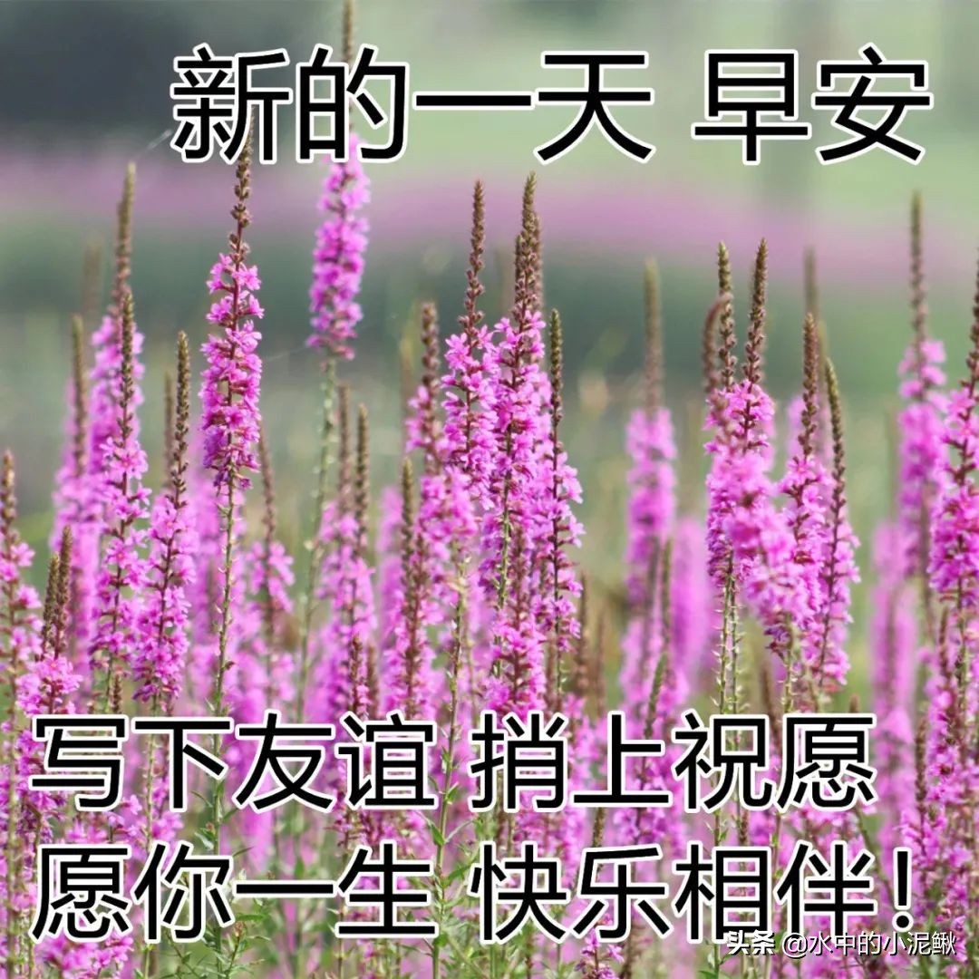 心灵鸡汤青春励志短句（人生鸡汤短句正能量）