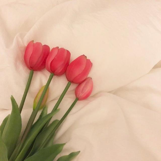 关于母亲节的祝福语有哪些（送给母亲的祝福语大全）