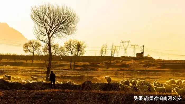 思念家乡及亲人的诗句（表达思念的诗词欣赏）