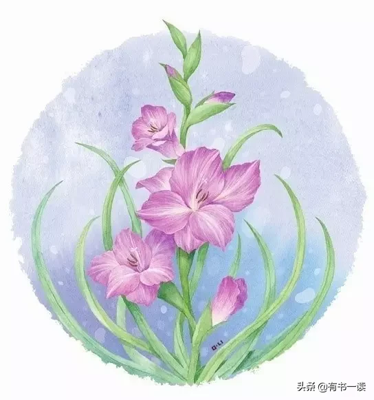 席慕容的诗有哪些（席慕容最著名的12首诗）