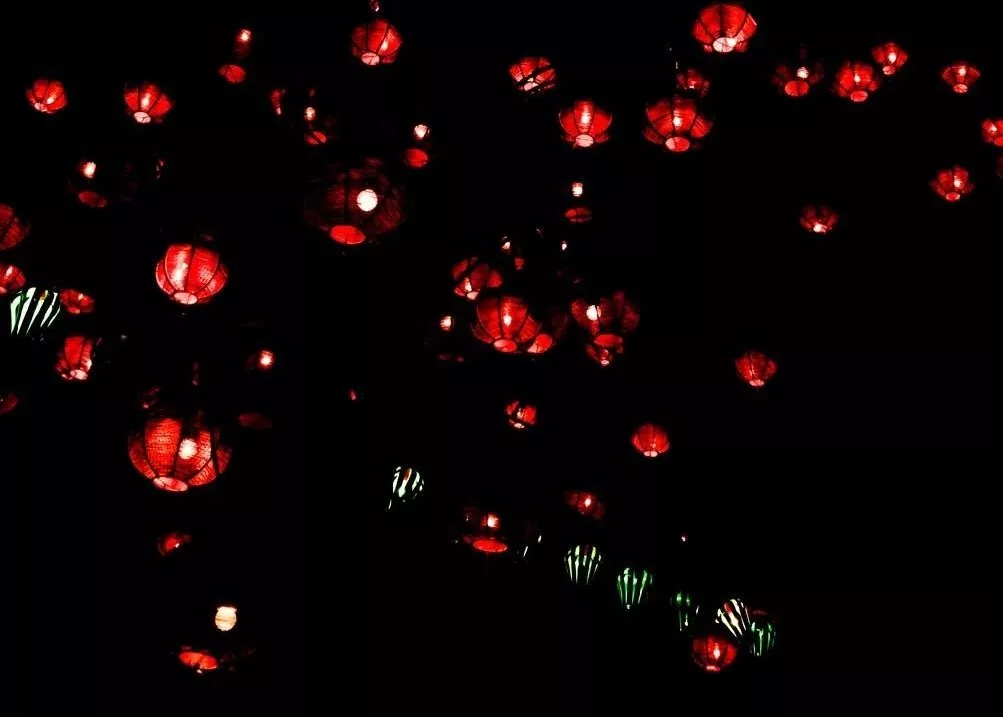 元旦节的诗句有哪些（关于元旦的优美诗句）