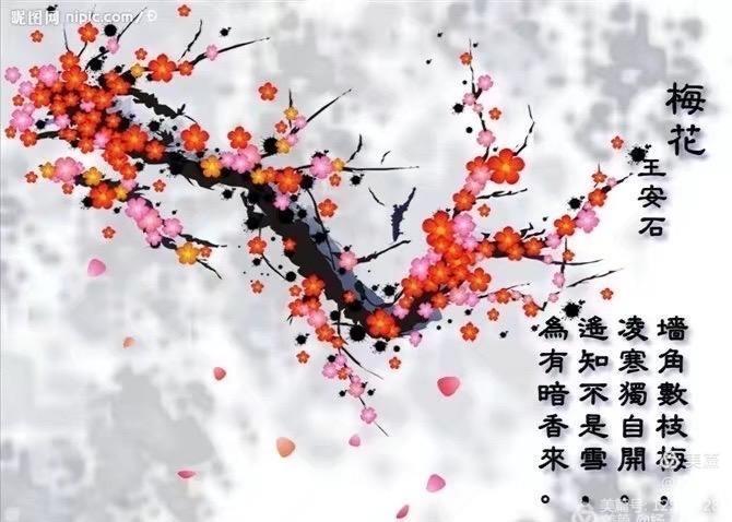 遥知不是雪为有暗香来（描写腊梅的诗句）