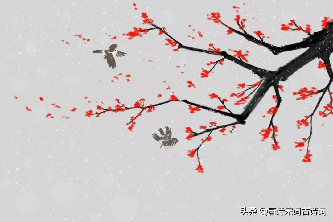 辛弃疾的古诗大全（辛弃疾经典诗词赏析）