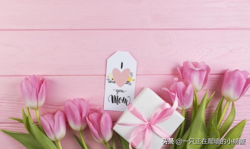 感恩母亲的诗句古诗（感恩母亲的经典语录）