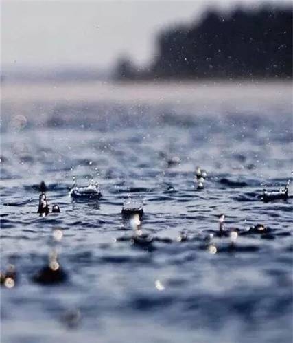 含雨的诗句有哪些（与雨水有关的诗句）