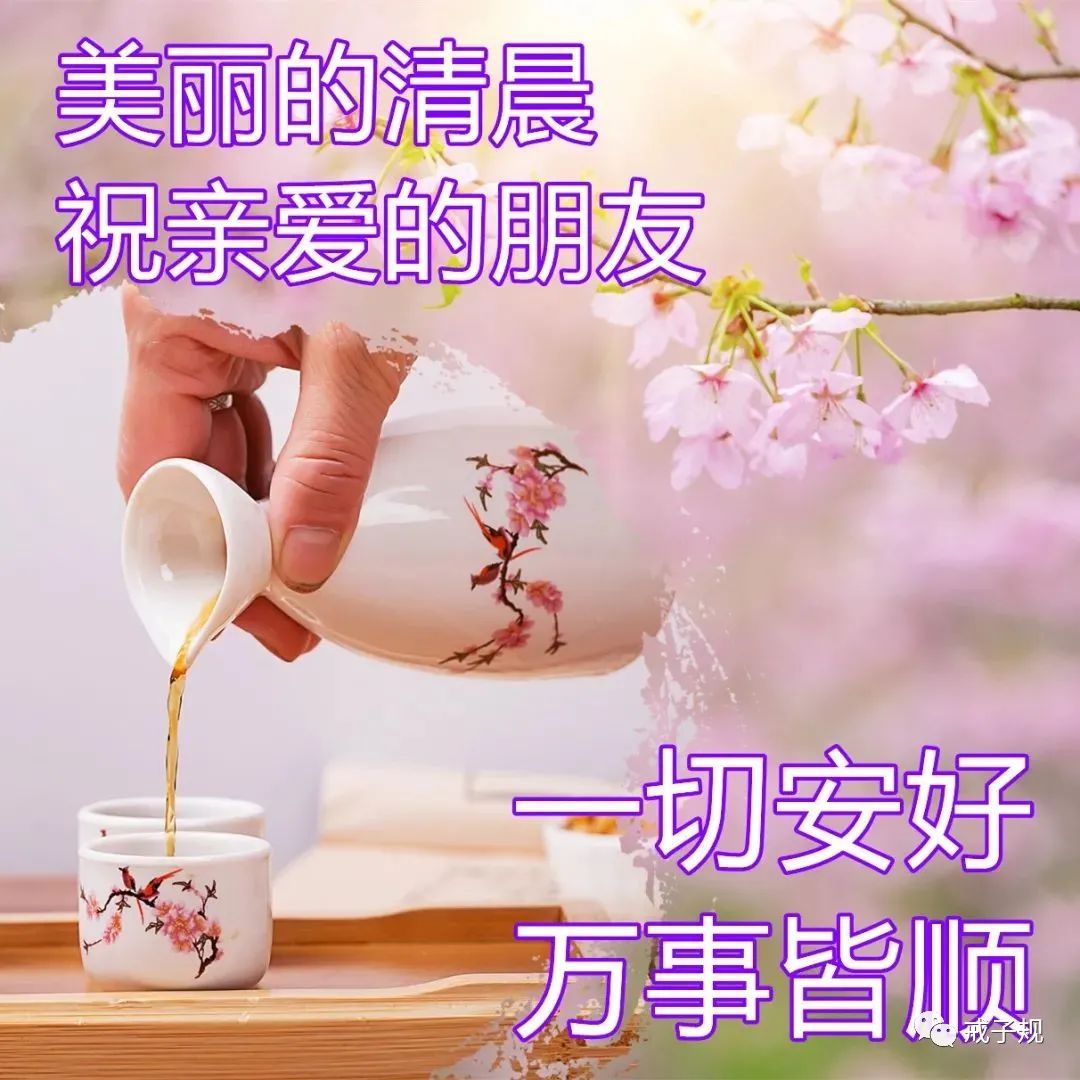 早上好的句子短句唯美（积极向上阳光励志短语）