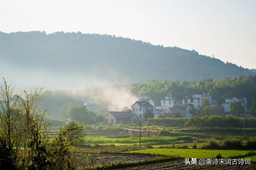 寒食古诗意思译文（寒食古诗的注释和译文赏析）