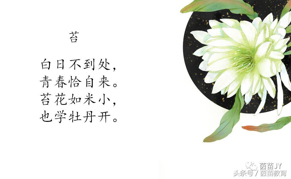 苔花如米小也学牡丹开（袁枚的苔古诗赏析）