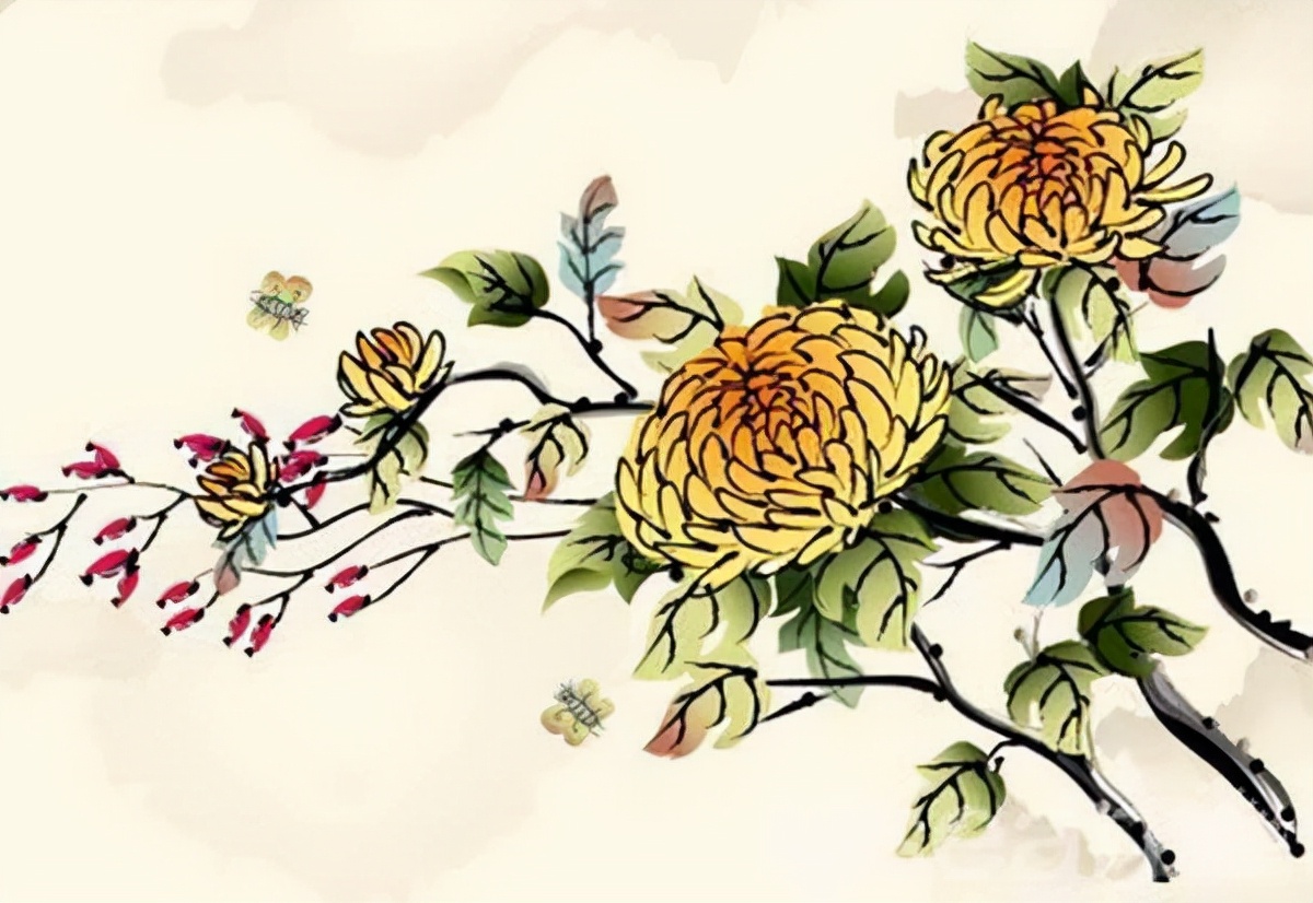 画菊郑思肖阅读（画菊郑思肖表达的情感）