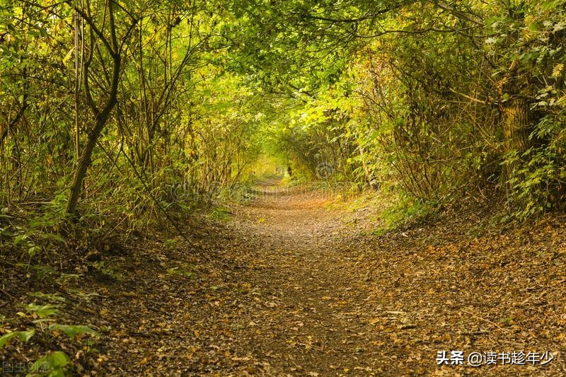 形容坚持的诗句唯美（坚持的诗词名句）