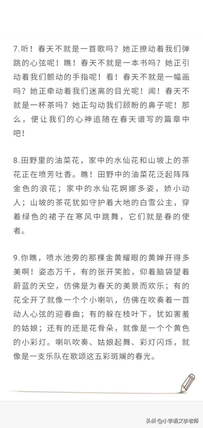 描写春天的排比句短句（用排比描写春天的句子）