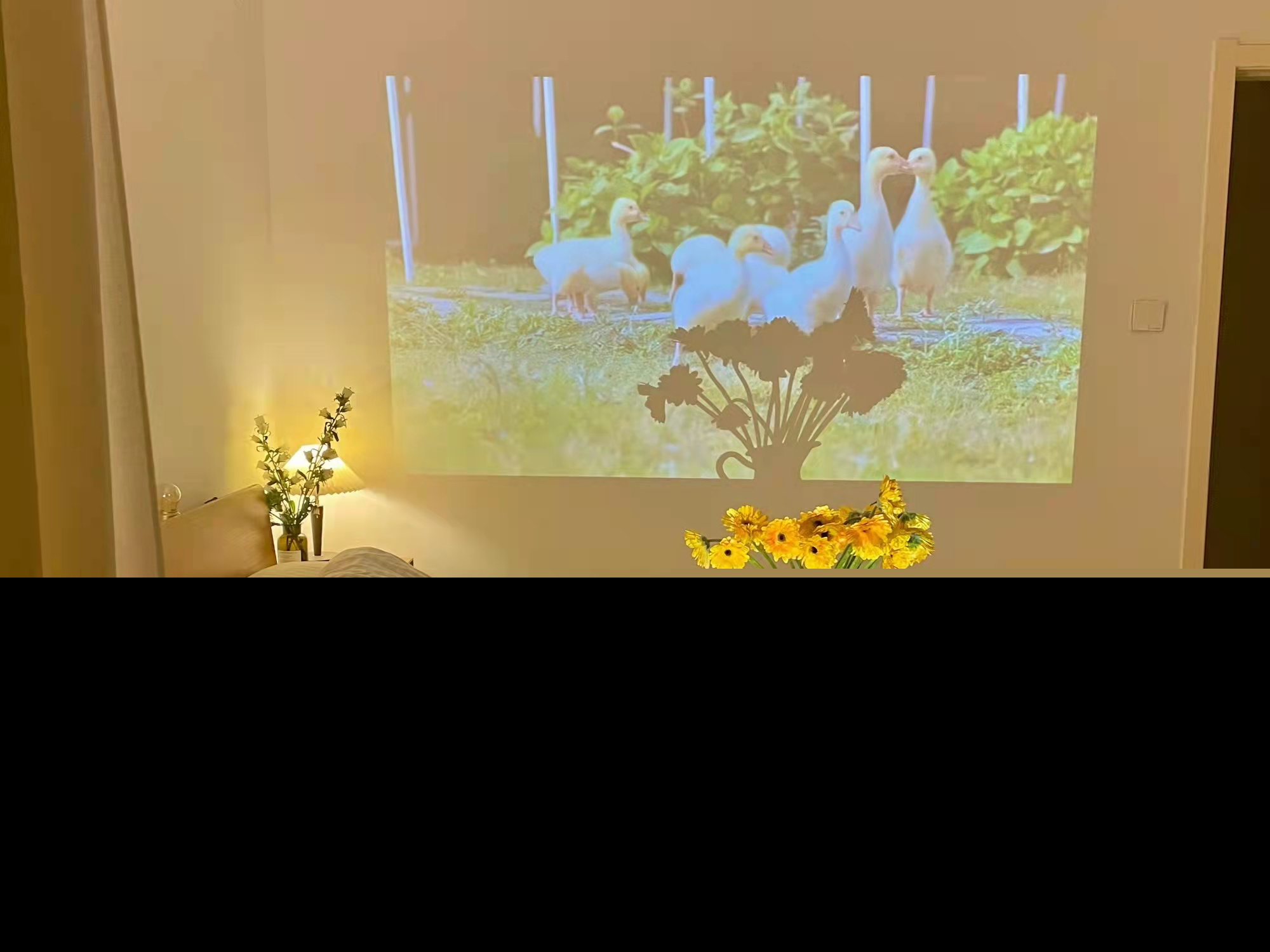 优美的句子大全（意境唯美的段落摘抄）
