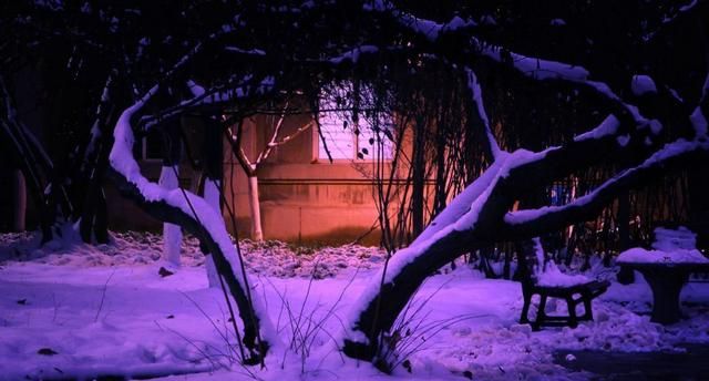 时闻折竹声是哪首古诗（白居易夜雪诗词赏析）