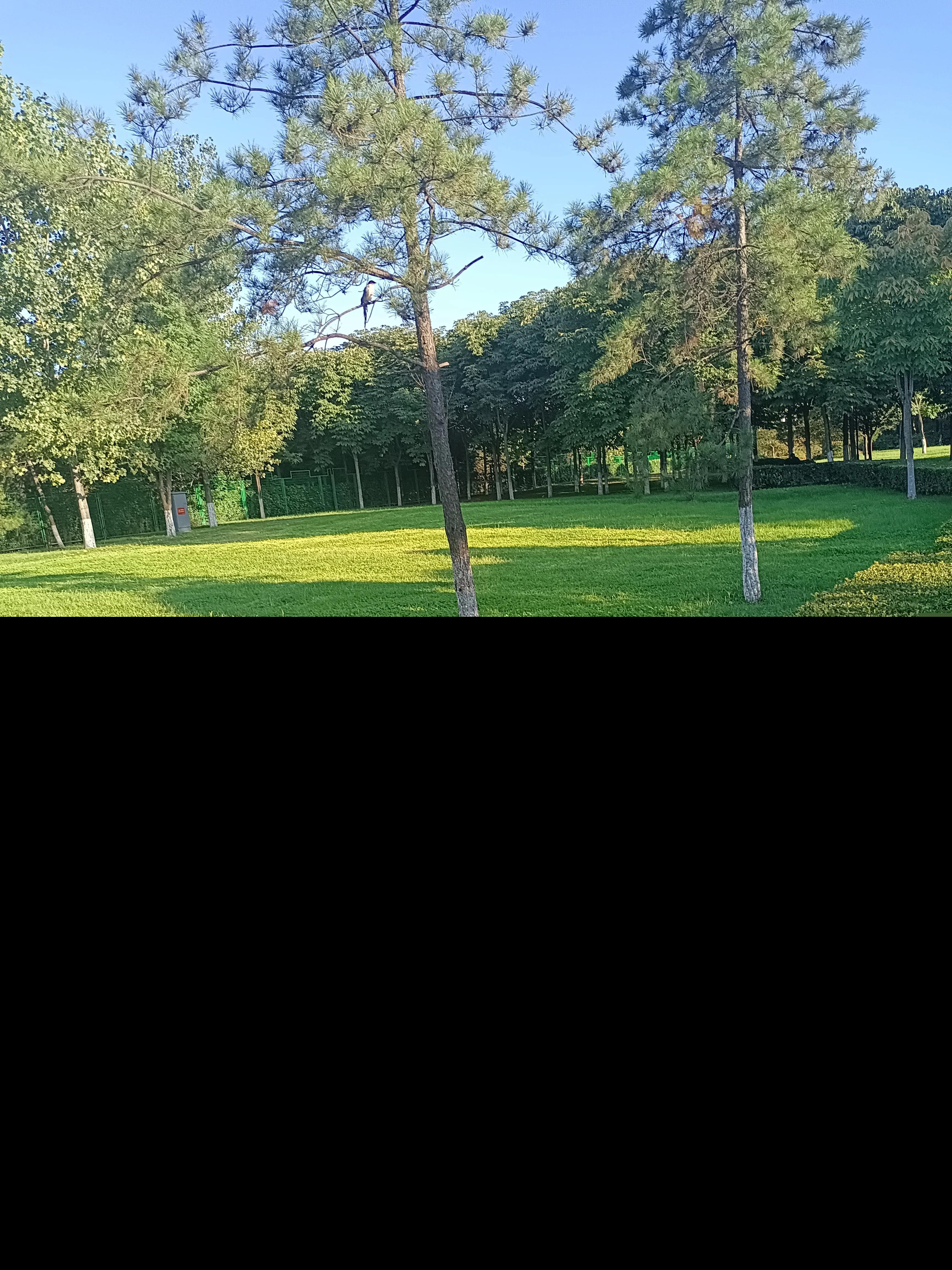 少有人走的路读后感（少有人走的路读书感悟）