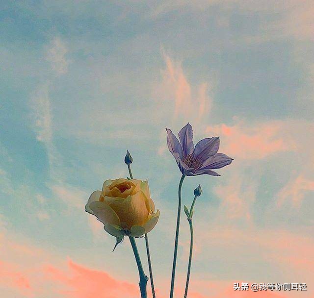 美句简短优美句子励志（美言美句摘抄励志）