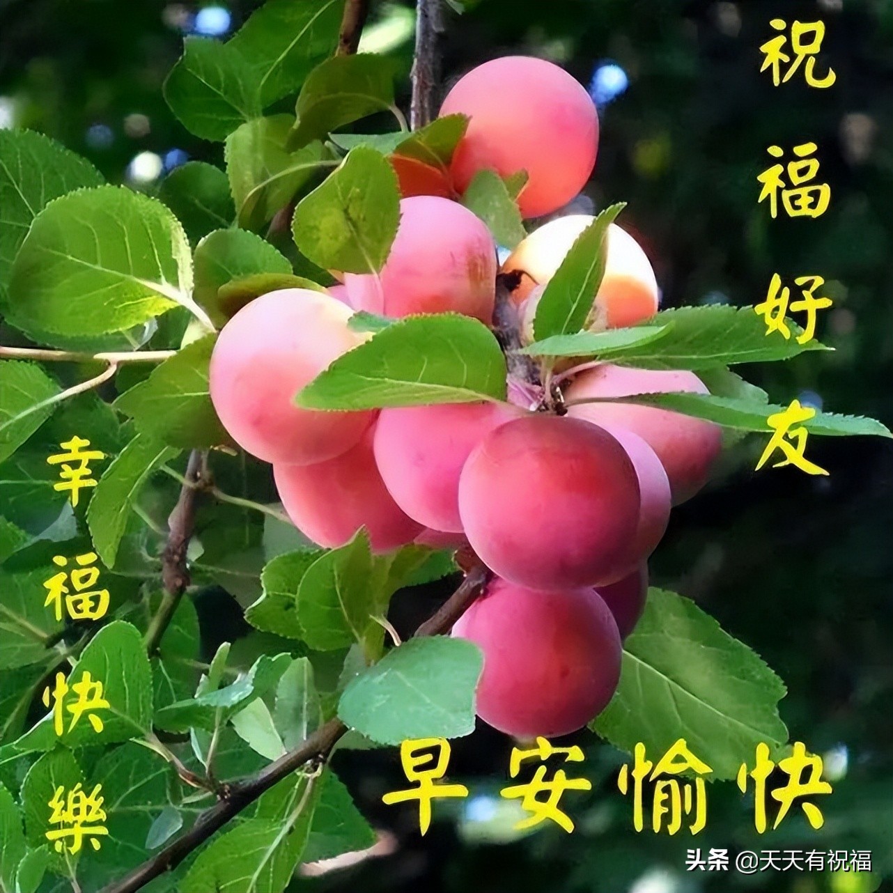 早安朋友圈文案（早安文案简短吸引人）