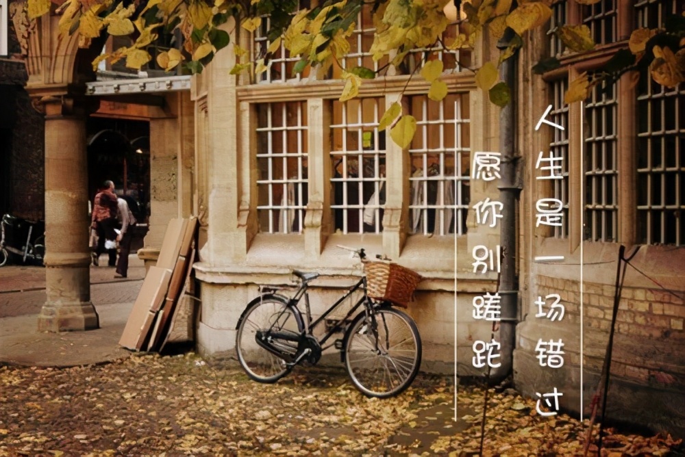 形容岁月的词语有哪些（感慨逝去的青春的句子）