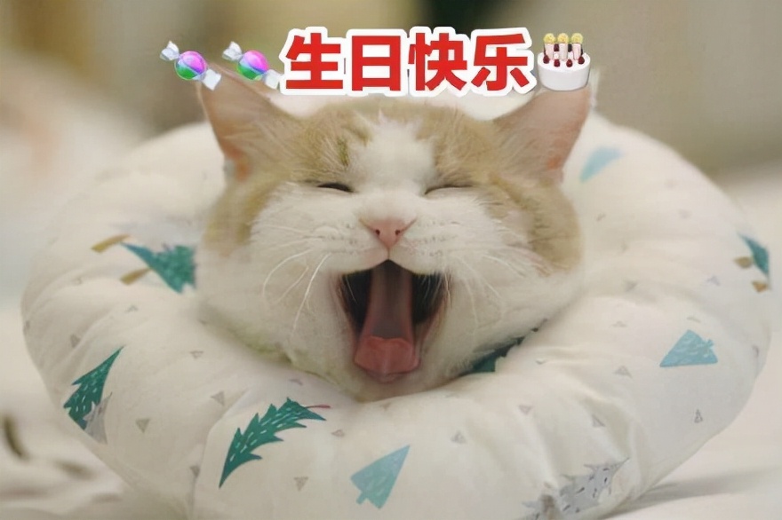 有内涵幽默生日祝福语（生日祝福语创意幽默）