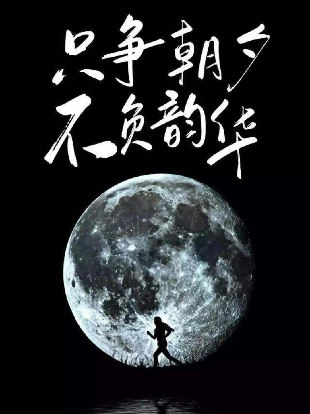 不负韶华的励志句子（表示未来可期的诗句）
