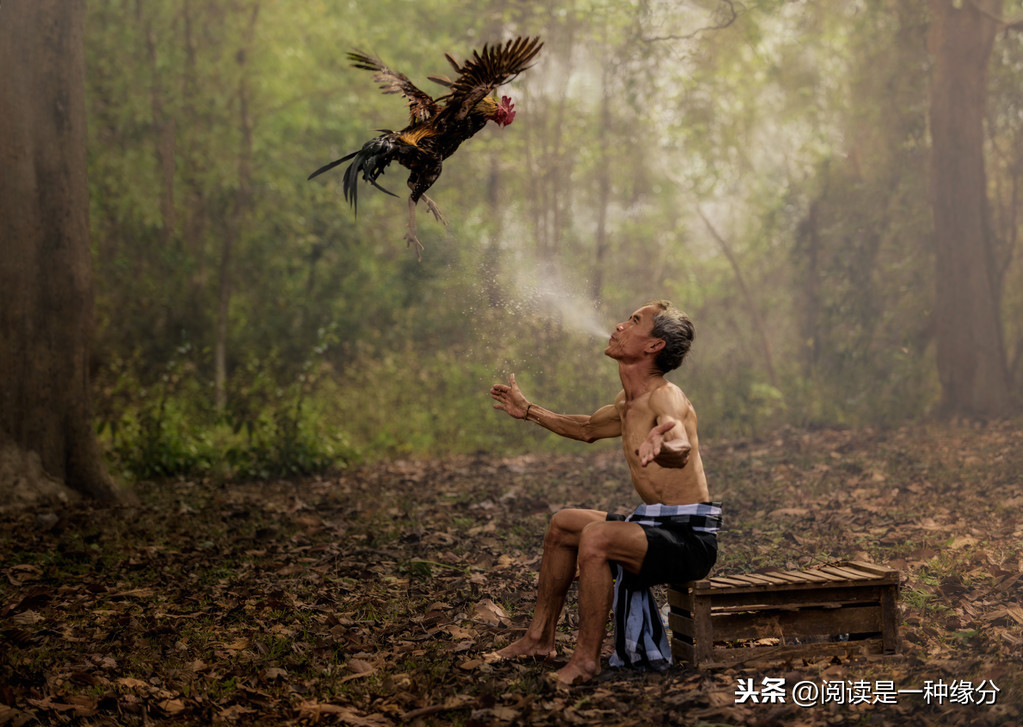 使我不得开心颜全诗（愿彼此珍惜的古诗词）