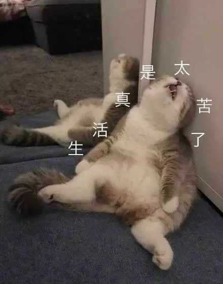感恩节幽默段子短句（搞笑段子短句文字）